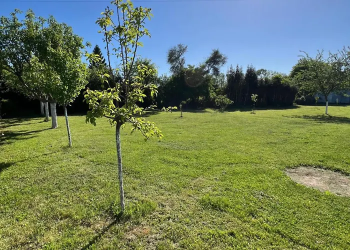 Venez Respirer L'air De La Campagne A 70 Km De De L'ocean, Villers Sur Mers , Deauville ..... Maison De 100 M² ,sur Parcelle De 2000 M² 3 Toutes Refaites , 2 Salles D'eau , 2 Toilettes , Cuisine Equipees . Tous Refait A Neuf * La Ferte-en-Ouche